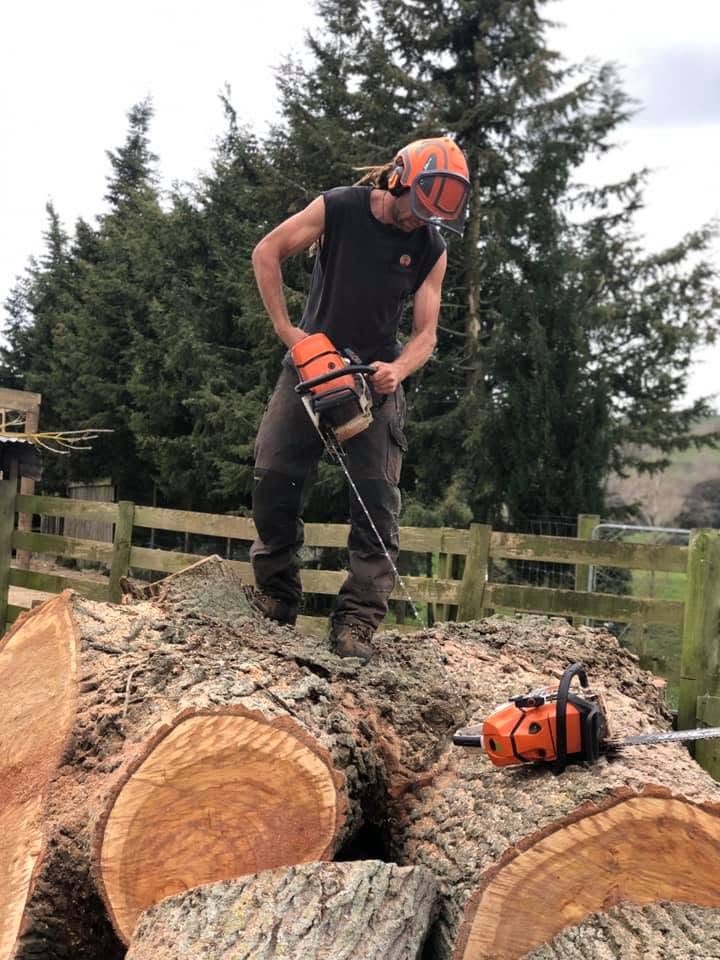 Tree removal and pruning Waikato